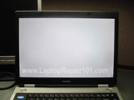 screen turned completely white Laptop Repair